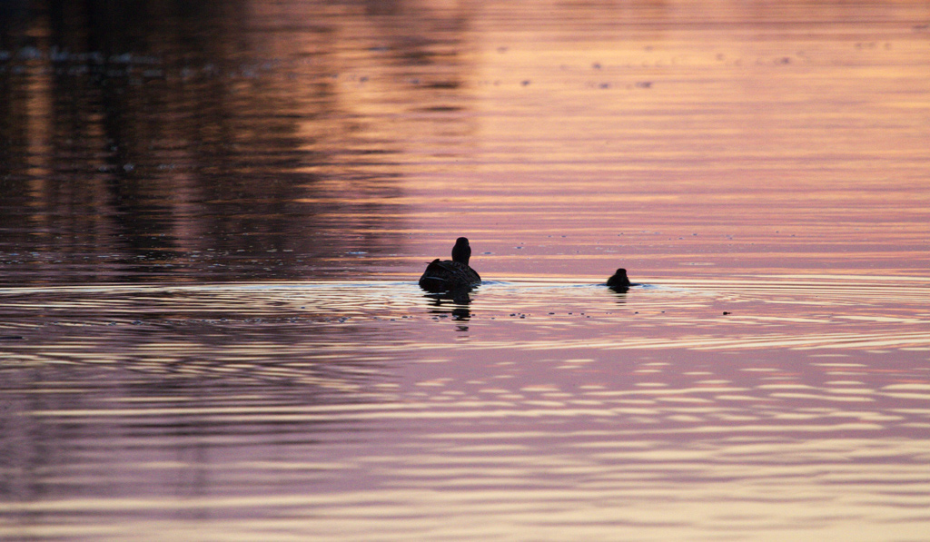Insieme verso il futuro
