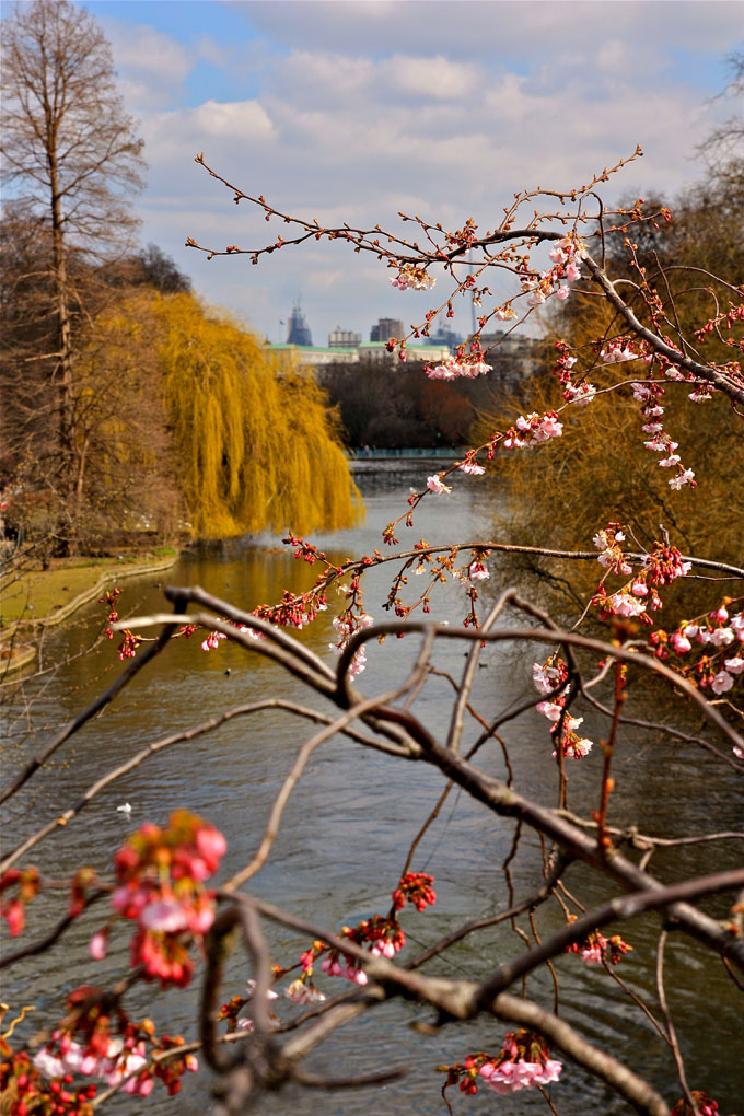 L'Autunno in Primavera