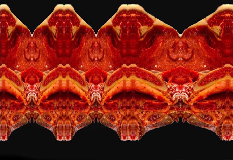 come per magia..........