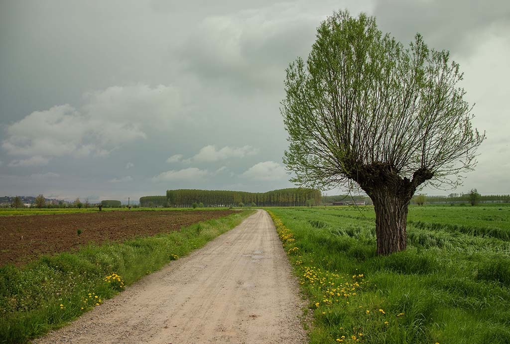 Paesaggi del mio paesino