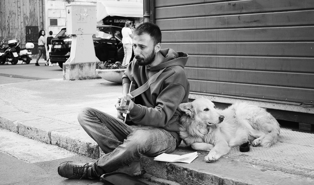 compagno d'avventura ! !