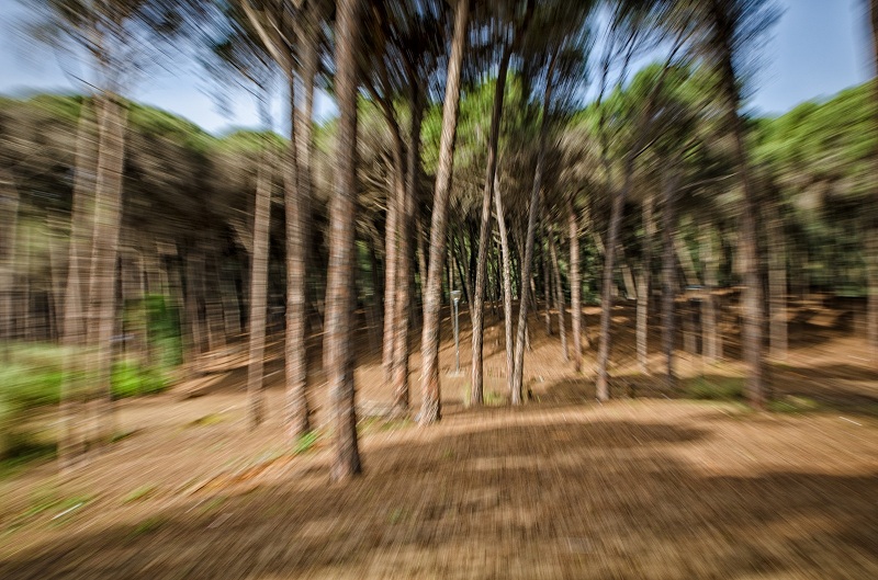 trova l' intruso !!!