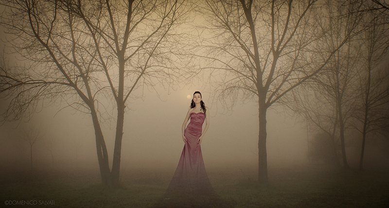 Evanescenze............