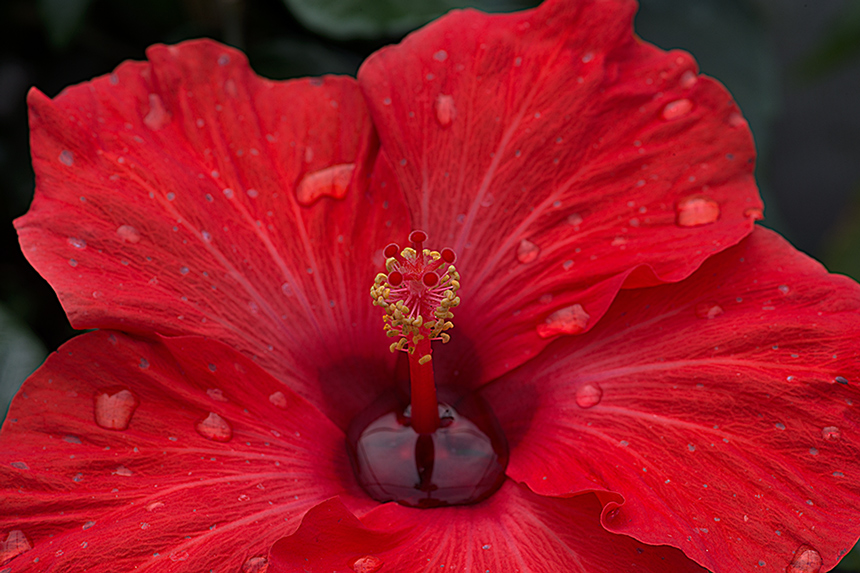 Un viso nella fontana