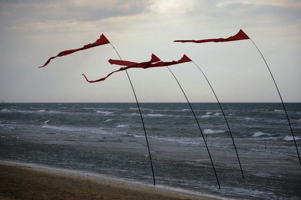 Volare � sognare...