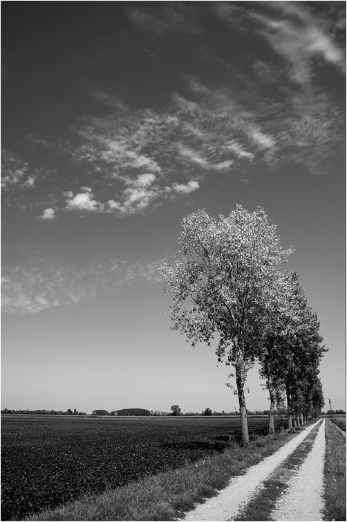 Camminando tra il bianco e il nero..