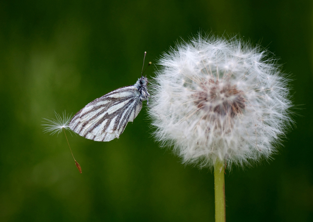 oggi mi sento pi� bella..