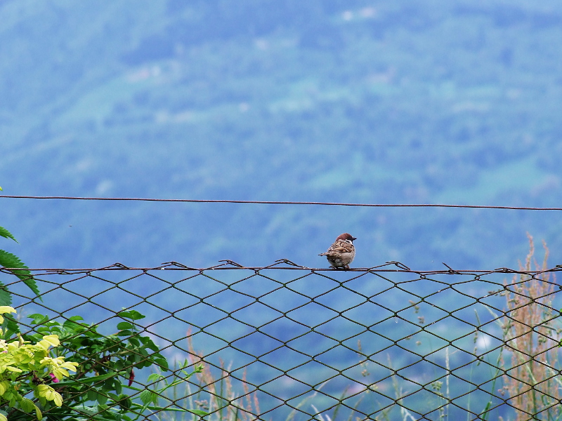 ''Oggi mi sento un po pesante..''