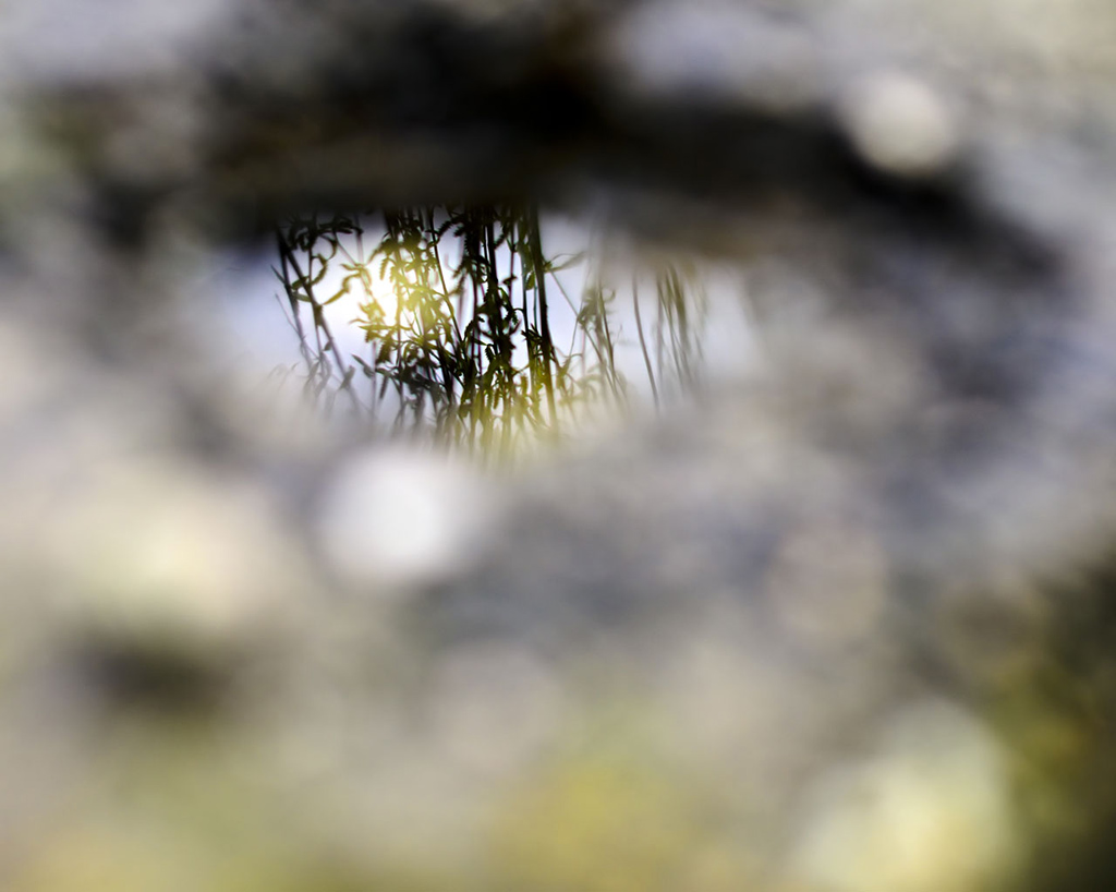 Occhio....di riflesso