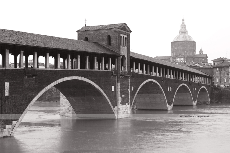 pavia