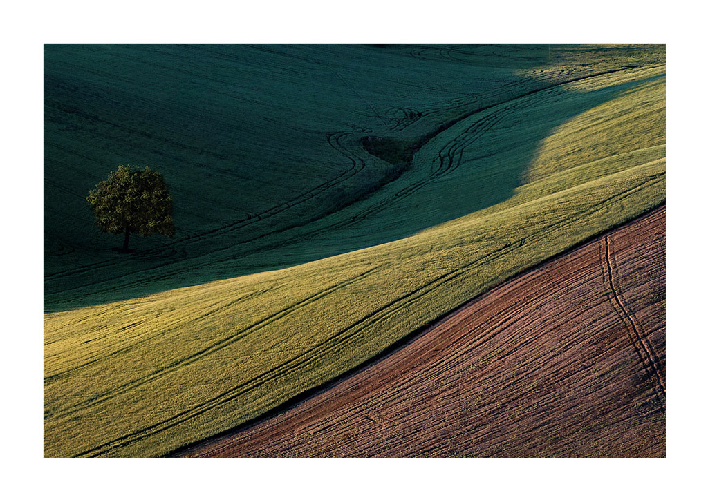 .....linee di libero pensiero.....