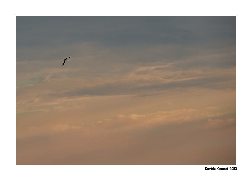 Liberi tra le nuvole