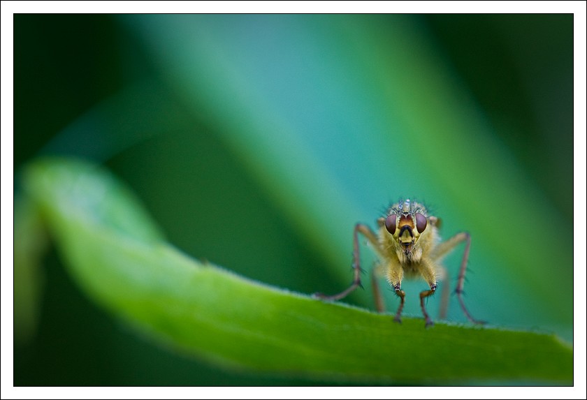 Quindi ? Che c'� da guardare ?