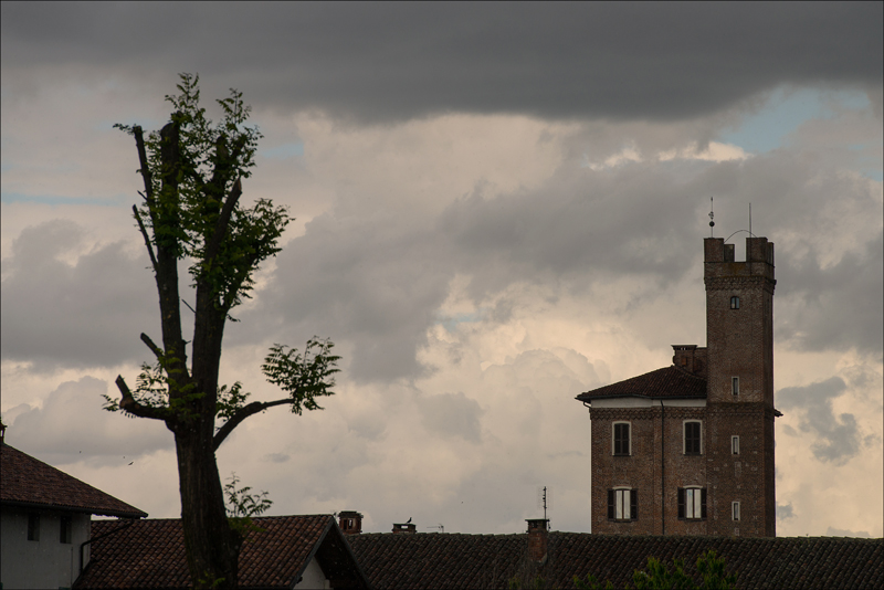 Tra una torre e un albero...