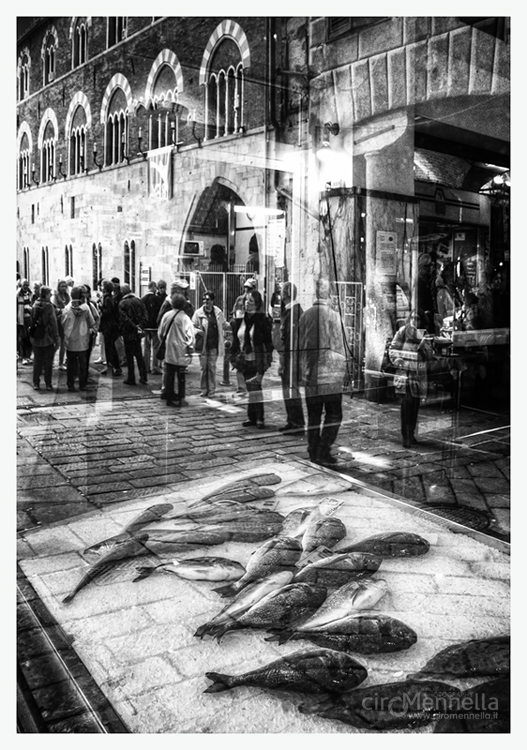 la pescheria di strada