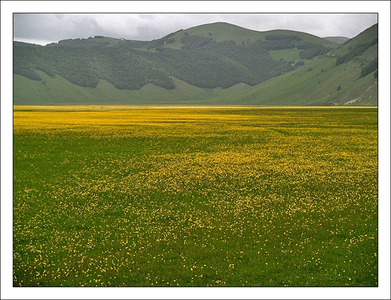 Piana di Castelluccio di Norcia