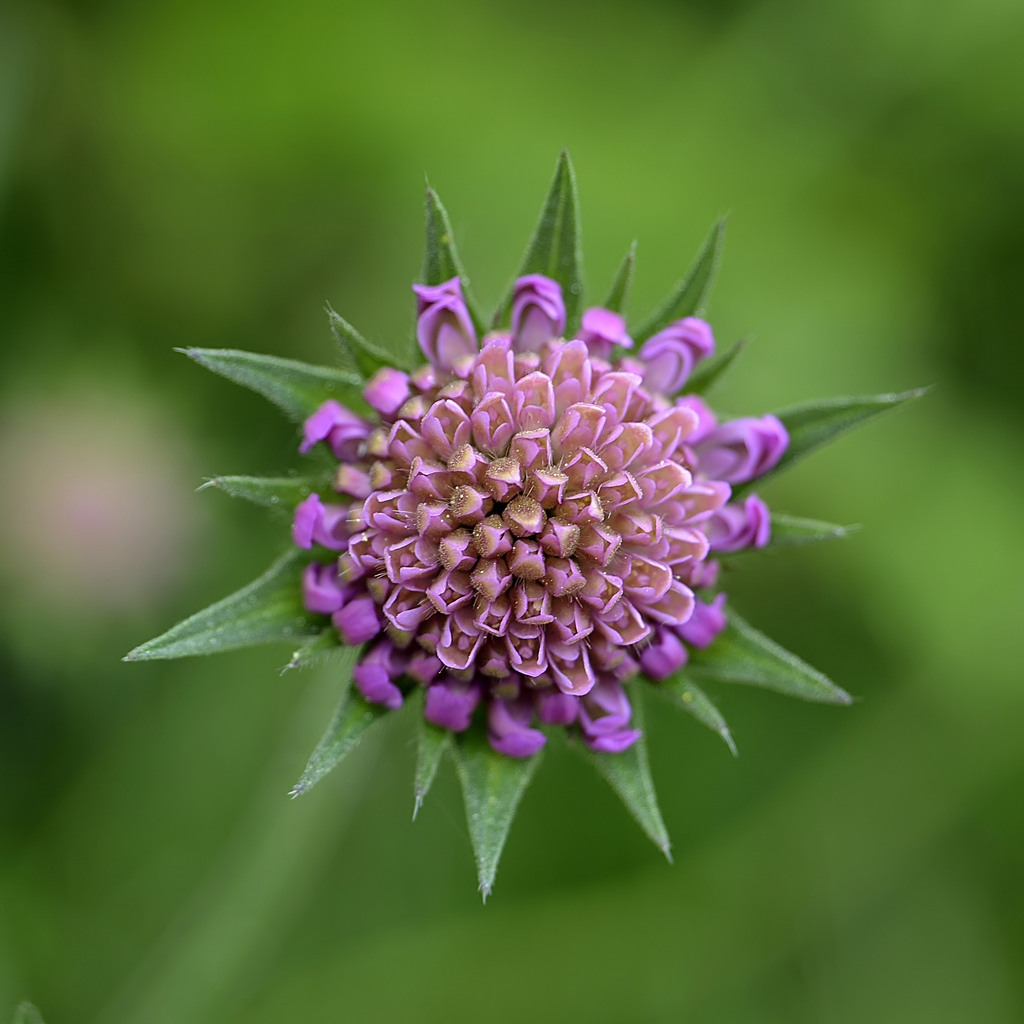 ho rifatto ....boom...