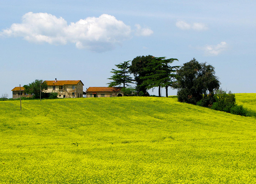 Primavera in campagna