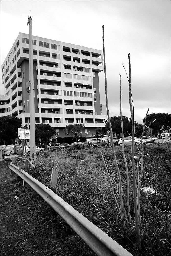 Una cartolina di periferia