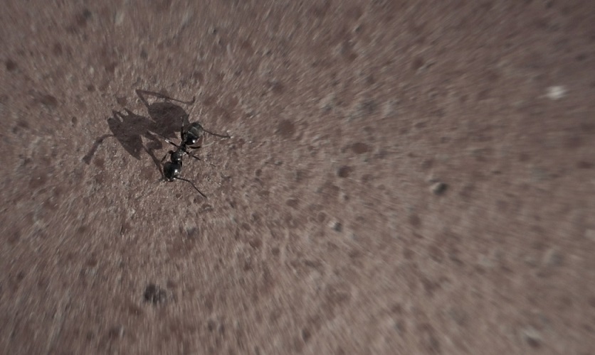 Ma dove sono finita?