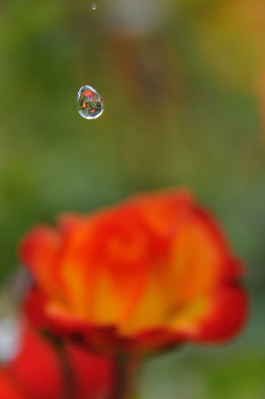 Errori di messa a fuoco