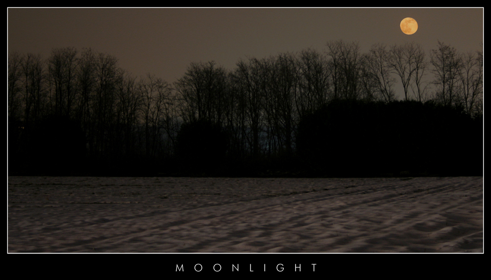 moonlight