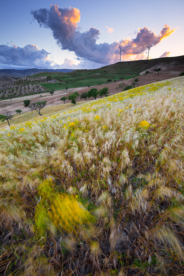 Paesaggio primaverile nelle colline di Germaneto (CZ)