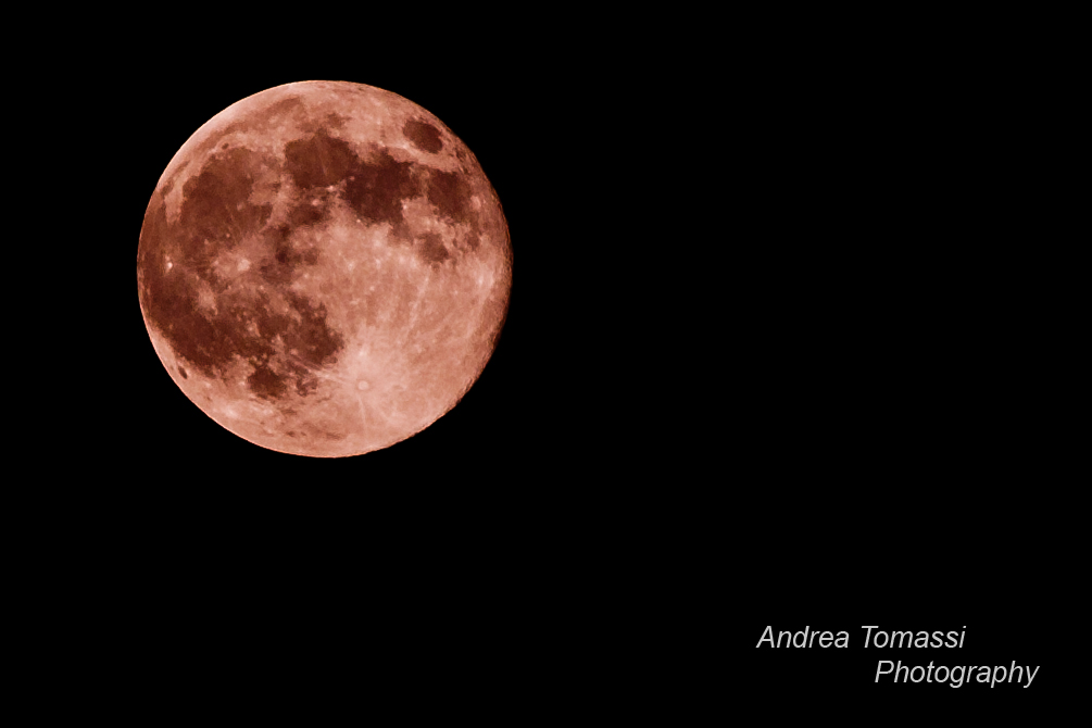 Il popolo � un bambino