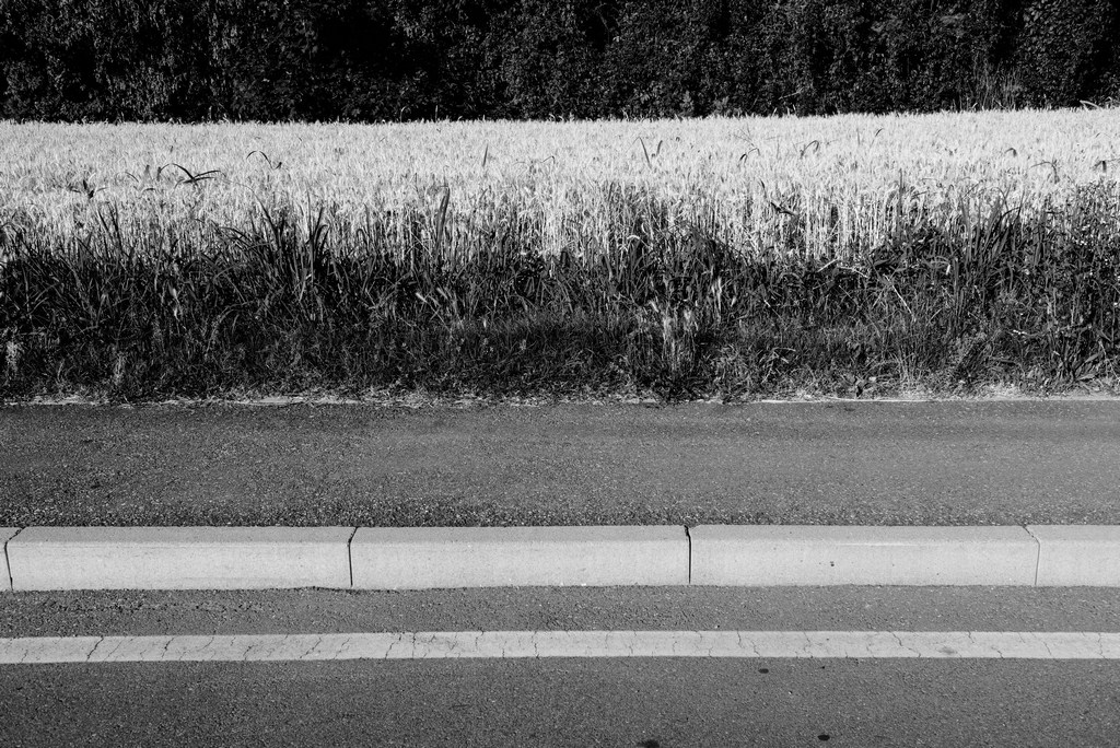 Chi offre di pi� ?