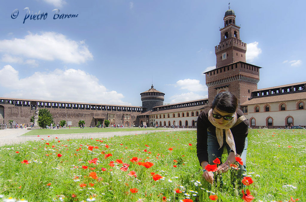 Come in un sogno di mezz'estate