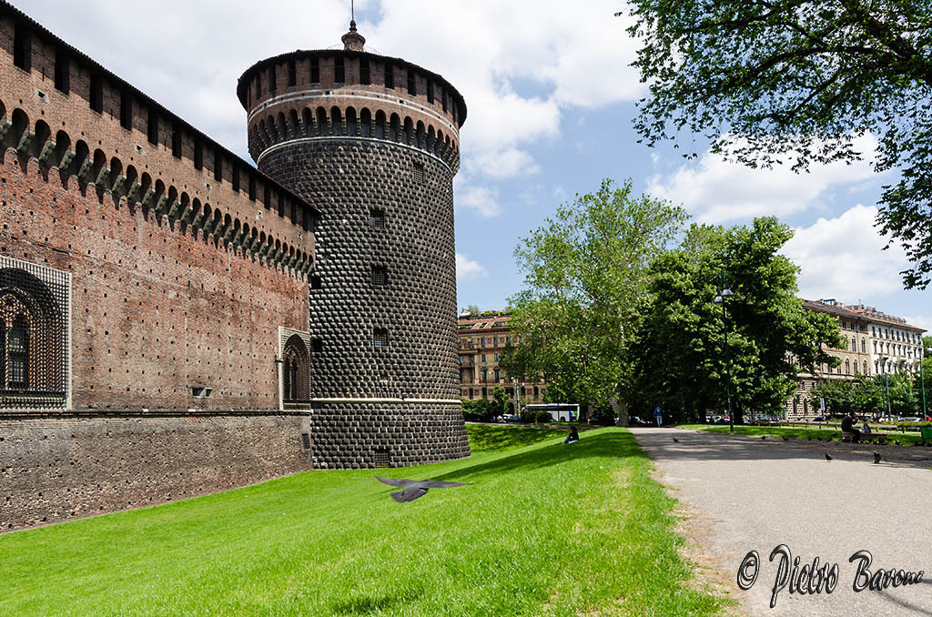 Il volo del piccione