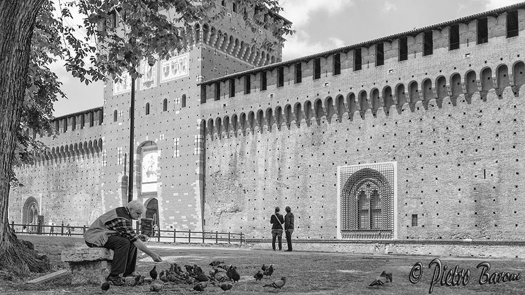 Colui che sfama i piccioni