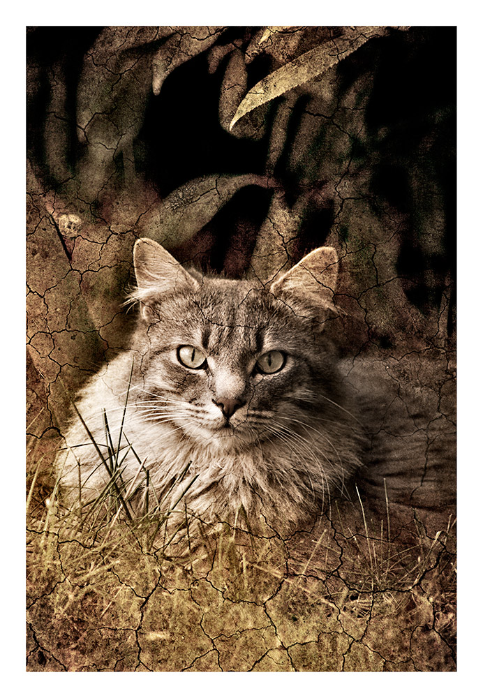 Semplicemente rivisitata