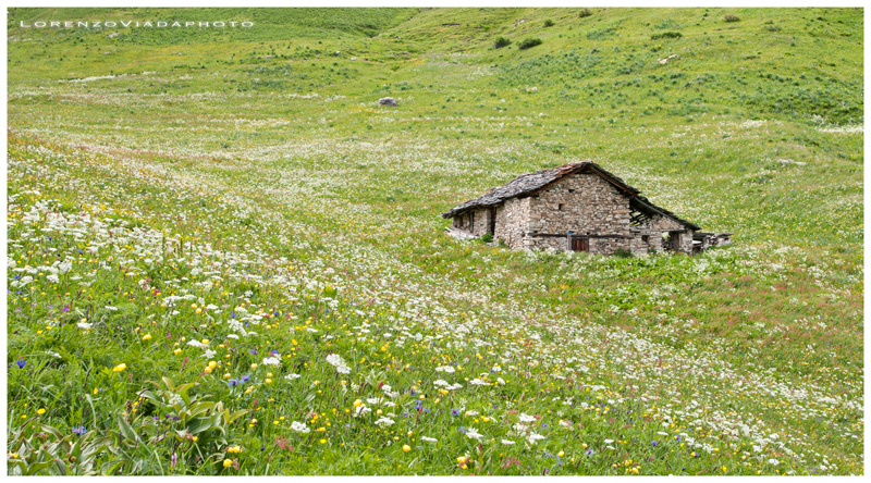 V.maira|lago camoscere 2