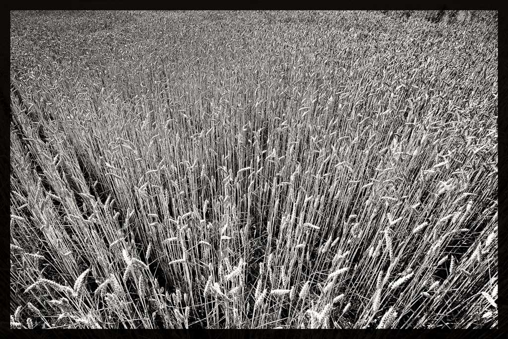 |||\\\|////|||\\\|//\\|