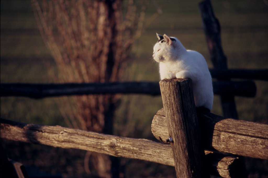 Il sole � ancora caldo....