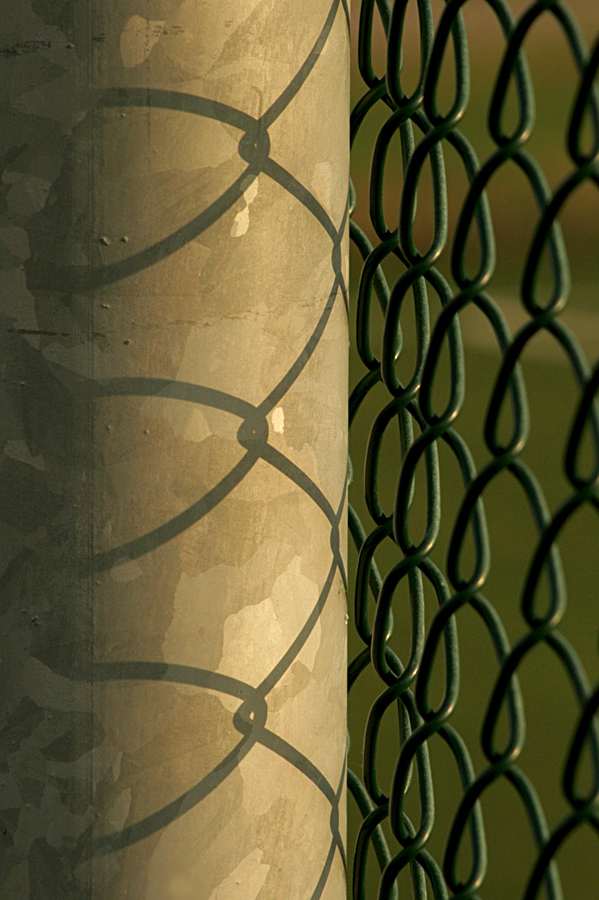 Reti e ombre di reti