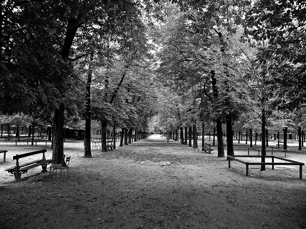 les tuileries