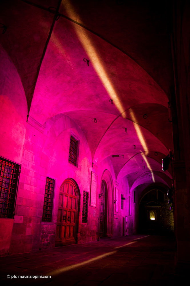 Pistoia - Palazzo Comunale Rosa
