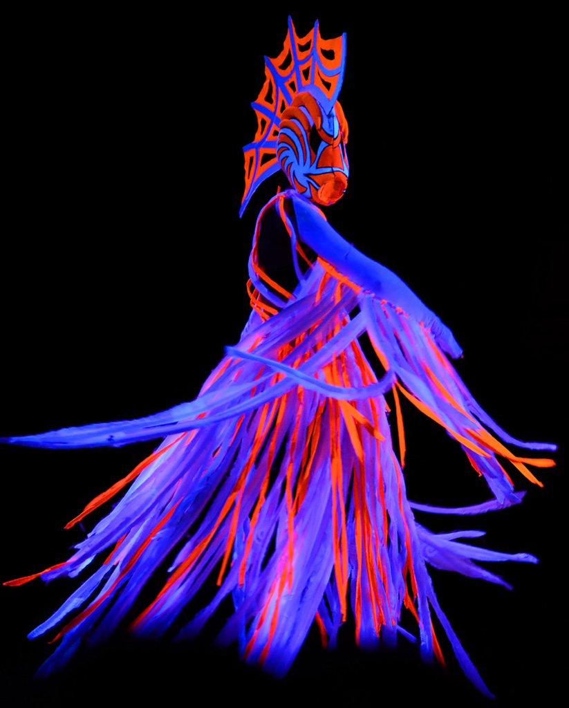 International Fluo Award 2013