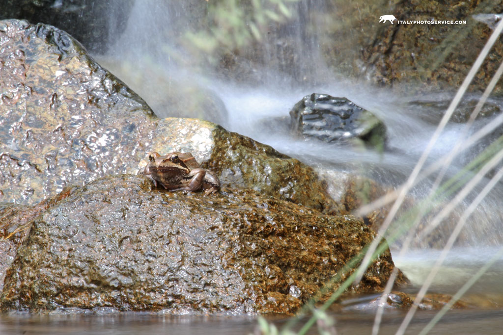 Incontro in Acque dolci...