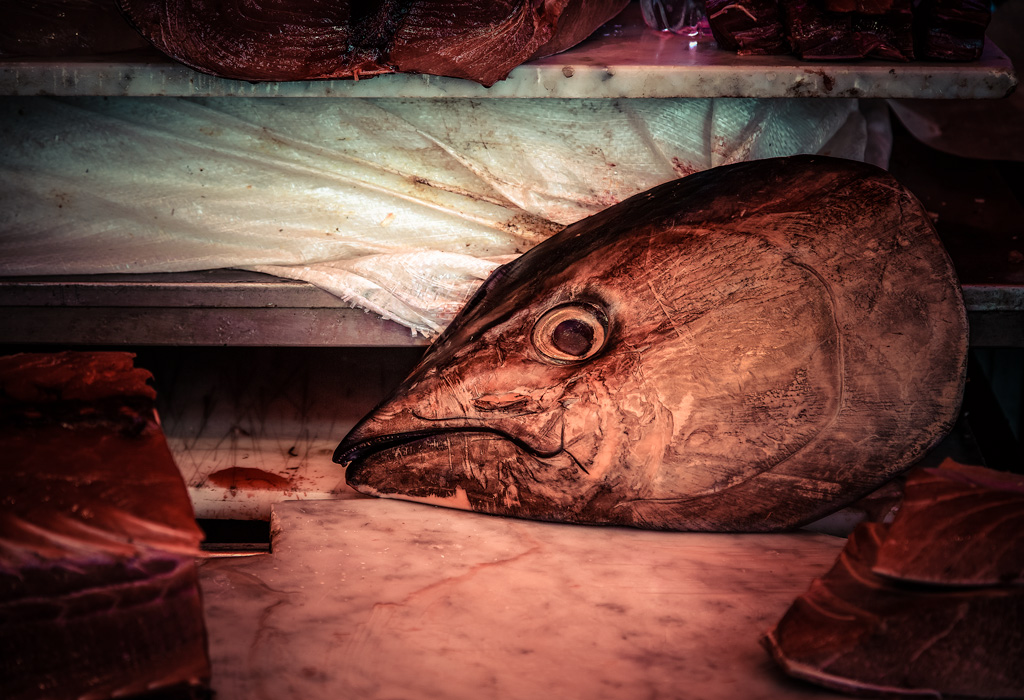 Il silenzio degli innocenti