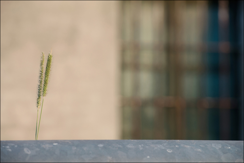 Oltre un guard rail..