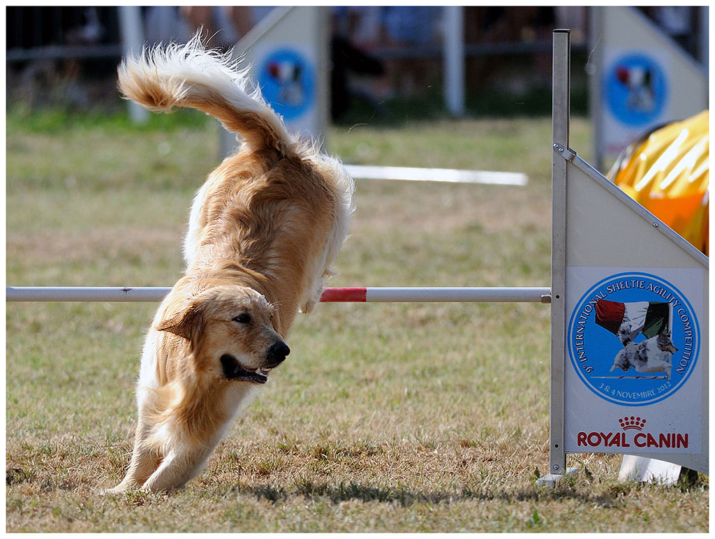 Alla fiera di San Gaetano