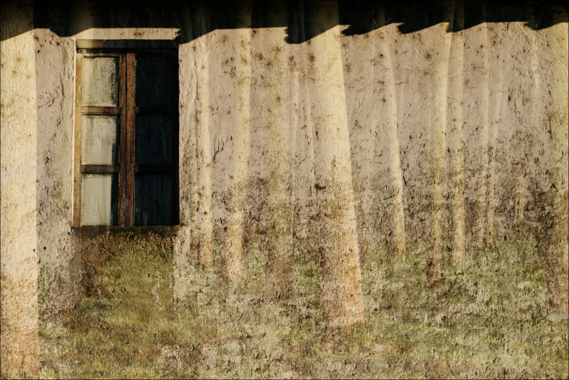 Un istante...oltre il muro