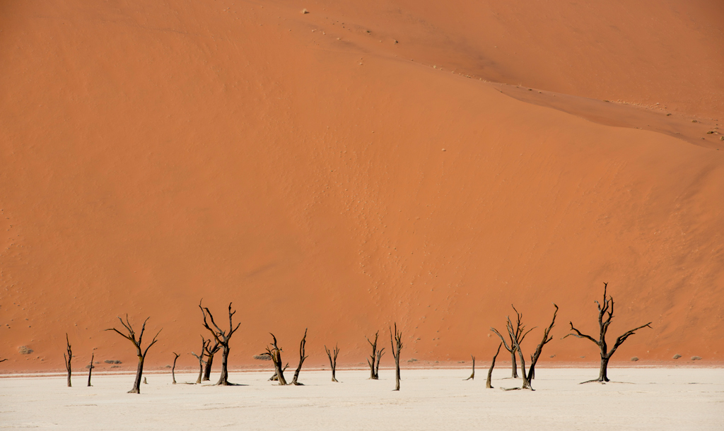 Dead Lake, Namibia