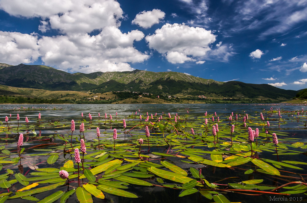 Le ninfe di Campotosto