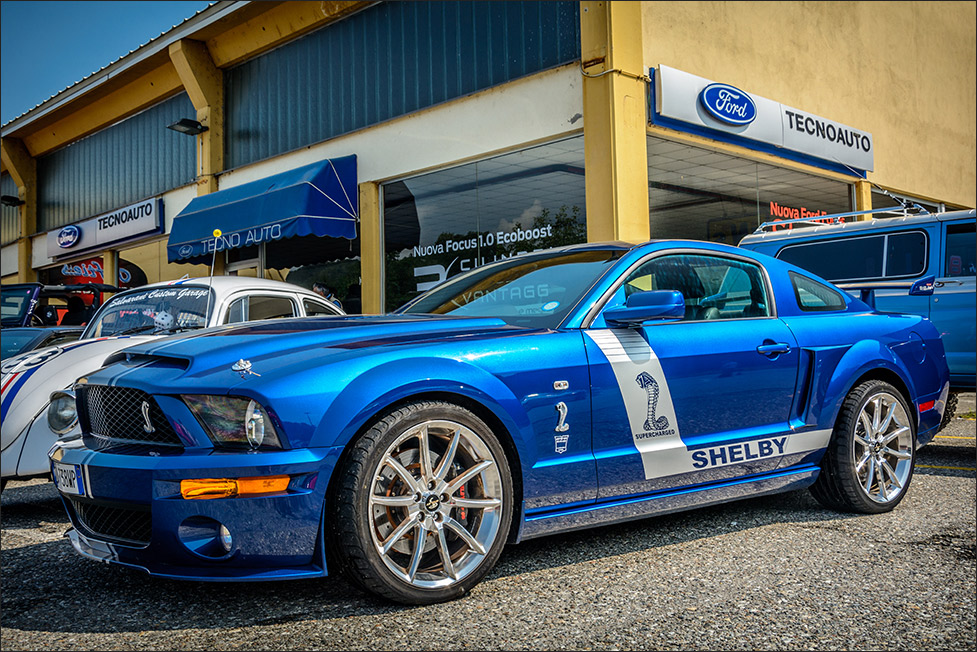 Mustang Shelby