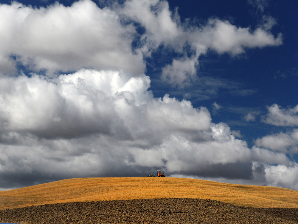 Trattorino..piccino..piccino...