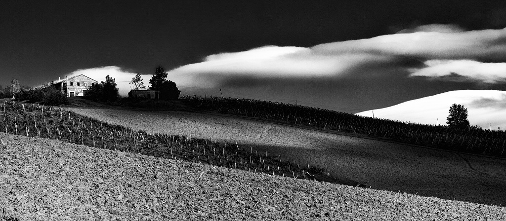 campagna marchigiana